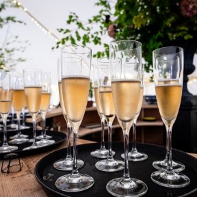 Dodo Rustic 3m Bar - DP Marquees Ltd