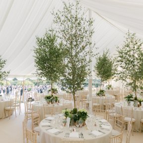 Limewash Chairs & Round Tables