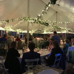 Fairy lights in unlined traditional marquee