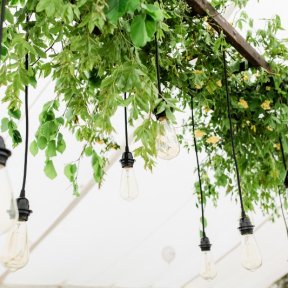 Antique Ladder with Filament Bulbs