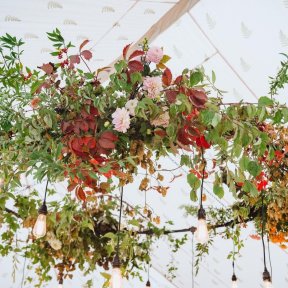 8ft Hoop with Filament Bulbs