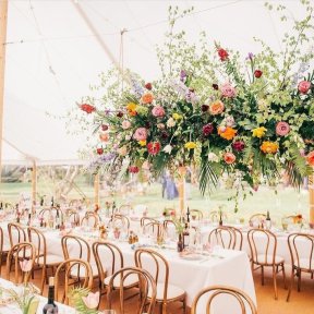 Trestle Tables & Bentwood Chairs