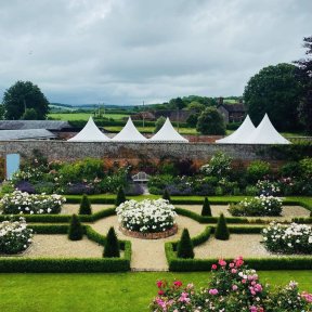 Chinese Hat marquees by pool from walled garden - DP Marquees Ltd
