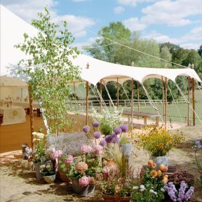 Petal marquee with floral entrance