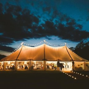 Shooting Star over Petal - DP Marquees Ltd