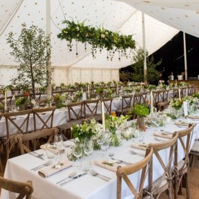 Gold Star Lining & Black Starlight Lining